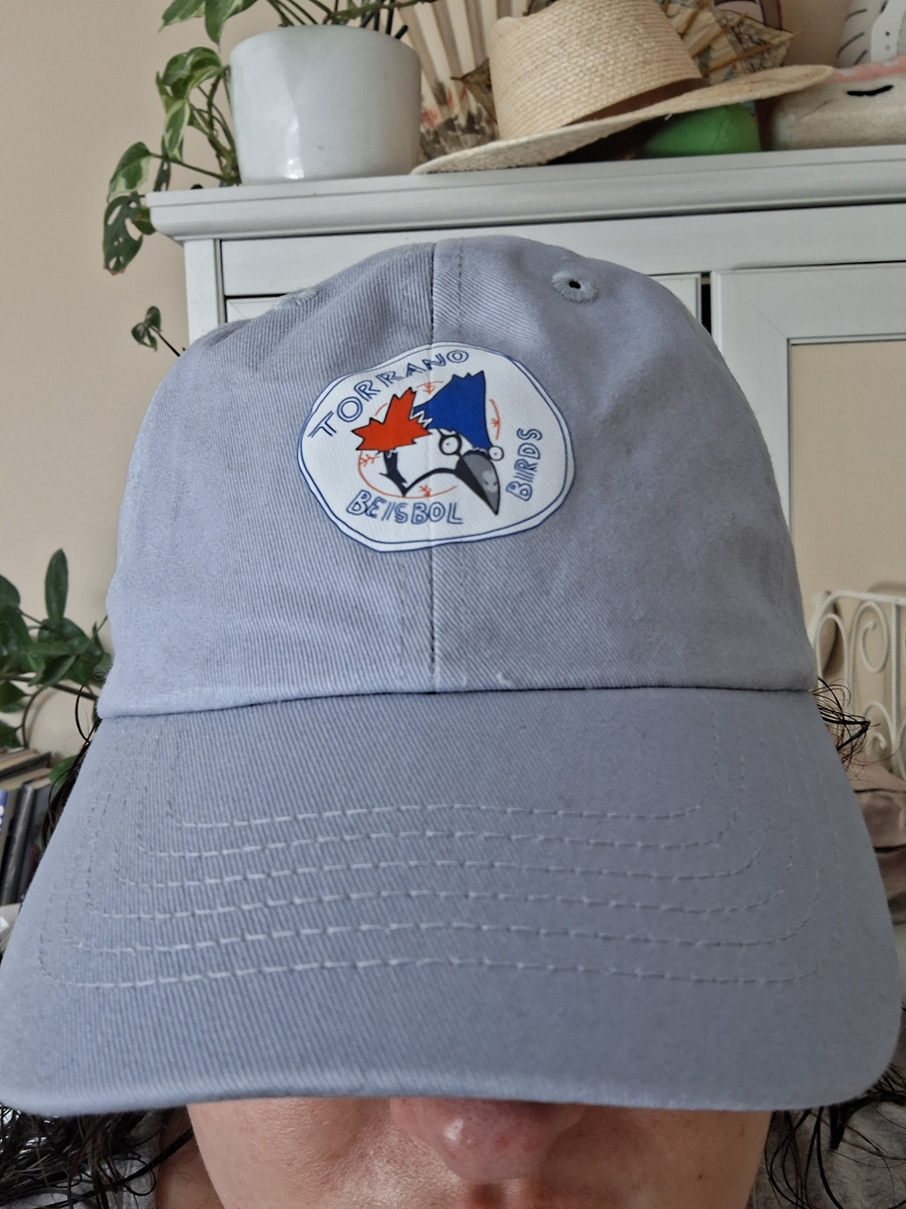 Toronto Blue Jays Fanmade 'Torrano Beisbol Birds' Light Blue Baseball Cap